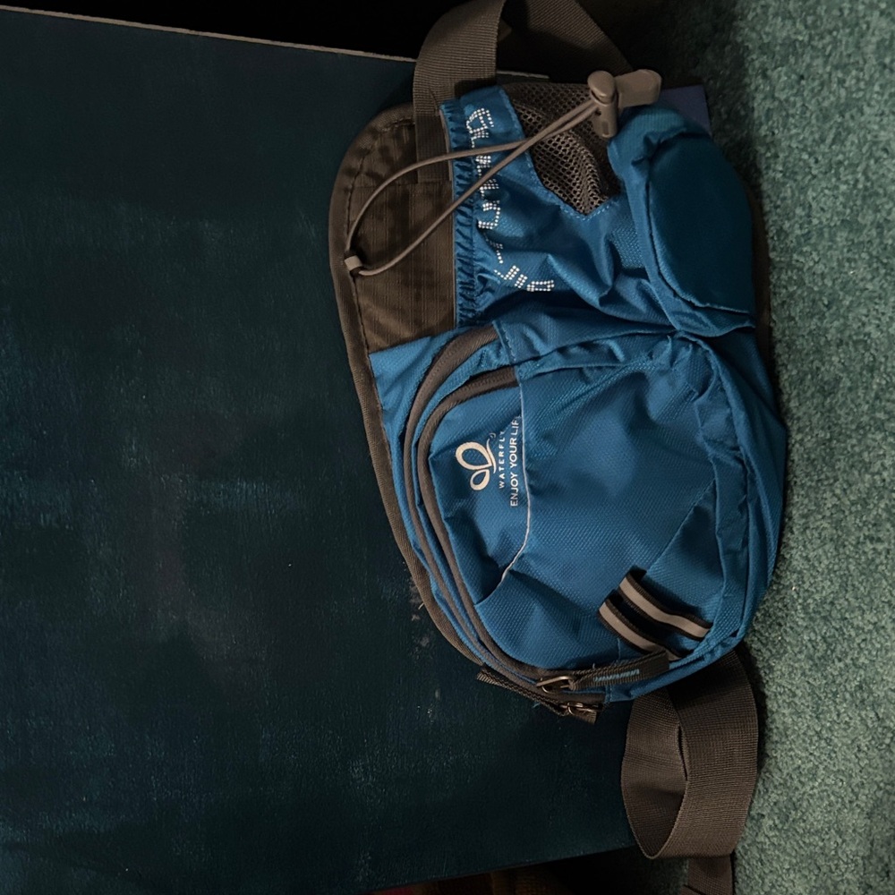 Blue Waist Bag